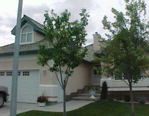 E3032524_1